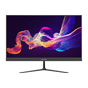 картинка Hikvision DS-D5024F2-BV2S Монитор цветной  (23,8") от компании Intant