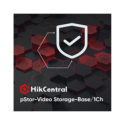 картинка Hikvision HikCentral- pStor-Video Storage-Base/1Ch от компании Intant