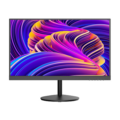 картинка Hikvision DS-D5224F2-1V1S Монитор цветной (23.8") от компании Intant