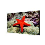 картинка Hikvision D2055LU-Y ЖК-дисплей 55" от компании Intant